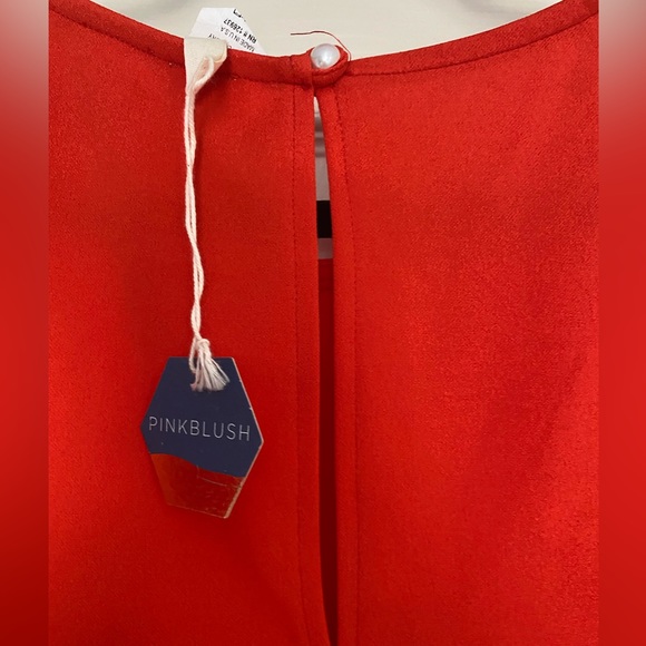 Pink blush red fitted and flare bottom dress - Picture 3 of 4